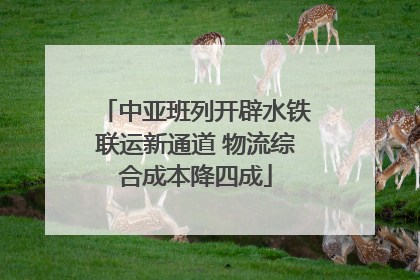 中亚班列开辟水铁联运新通道 物流综合成本降四成