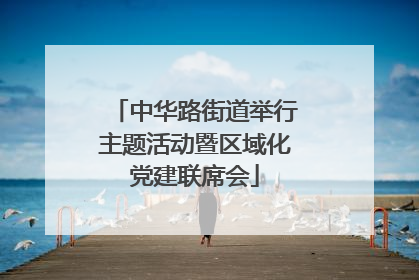 中华路街道举行主题活动暨区域化党建联席会