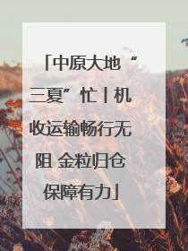 中原大地“三夏”忙丨机收运输畅行无阻 金粒归仓保障有力