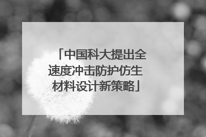 中国科大提出全速度冲击防护仿生材料设计新策略