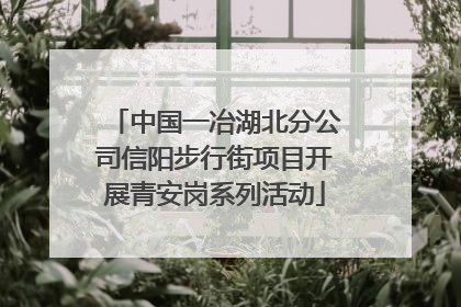 中国一冶湖北分公司信阳步行街项目开展青安岗系列活动