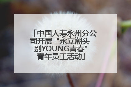 中国人寿永州分公司开展“永立潮头 别YOUNG青春”青年员工活动