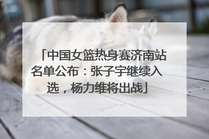 中国女篮热身赛济南站名单公布：张子宇继续入选，杨力维将出战