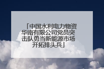 中国水利电力物资华南有限公司党员突击队勇当新能源市场开拓排头兵