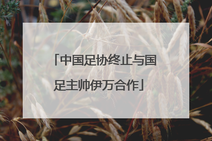 中国足协终止与国足主帅伊万合作