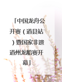 中国龙舟公开赛（道县站）暨国家非遗道州龙船赛开幕