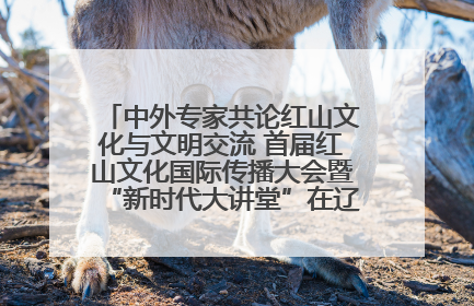 中外专家共论红山文化与文明交流 首届红山文化国际传播大会暨“新时代大讲堂”在辽宁朝阳举办
