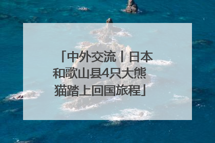 中外交流丨日本和歌山县4只大熊猫踏上回国旅程