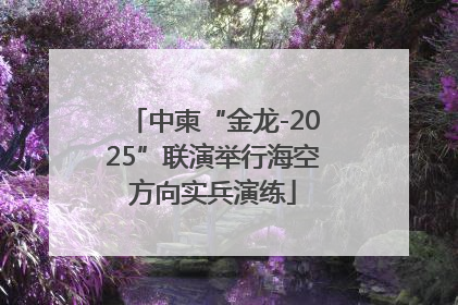 中柬“金龙-2025”联演举行海空方向实兵演练
