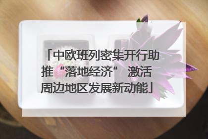 中欧班列密集开行助推“落地经济” 激活周边地区发展新动能
