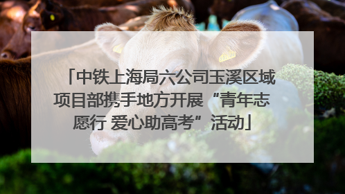 中铁上海局六公司玉溪区域项目部携手地方开展“青年志愿行 爱心助高考”活动