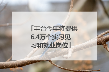 丰台今年将提供6.4万个实习见习和就业岗位