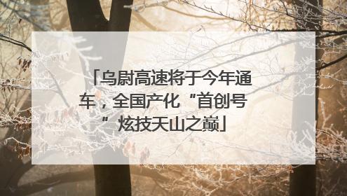 乌尉高速将于今年通车，全国产化“首创号”炫技天山之巅