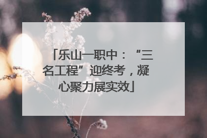 乐山一职中：“三名工程”迎终考，凝心聚力展实效