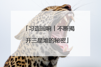 习语回响丨不断揭开三星堆的秘密
