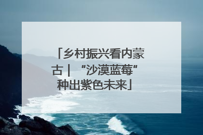 乡村振兴看内蒙古｜“沙漠蓝莓”种出紫色未来