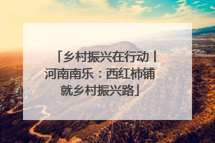 乡村振兴在行动丨河南南乐：西红柿铺就乡村振兴路