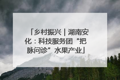 乡村振兴｜湖南安化：科技服务团“把脉问诊”水果产业