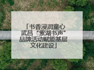 书香浸润童心 武昌“紫湖书声”品牌活动赋能基层文化建设