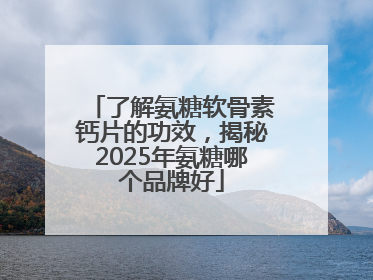 了解氨糖软骨素钙片的功效，揭秘2025年氨糖哪个品牌好