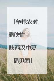争抢农时插秧忙——陕西汉中夏播见闻