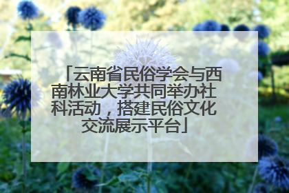 云南省民俗学会与西南林业大学共同举办社科活动，搭建民俗文化交流展示平台