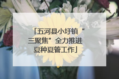 五河县小圩镇“三聚焦”全力推进夏种夏管工作
