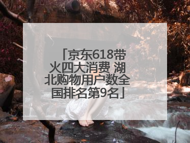 京东618带火四大消费 湖北购物用户数全国排名第9名