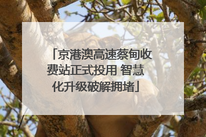 京港澳高速蔡甸收费站正式投用 智慧化升级破解拥堵