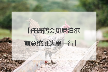 任振鹤会见尼泊尔前总统班达里一行