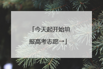 今天起开始填报高考志愿→