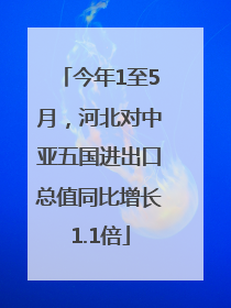 今年1至5月，河北对中亚五国进出口总值同比增长1.1倍