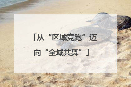从“区域竞跑”迈向“全域共舞”