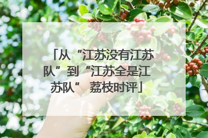 从“江苏没有江苏队”到“江苏全是江苏队” 荔枝时评