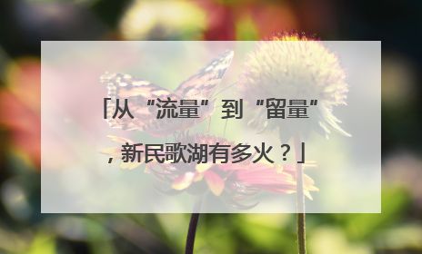 从“流量”到“留量”，新民歌湖有多火？