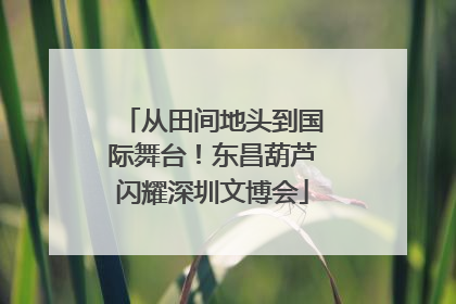 从田间地头到国际舞台！东昌葫芦闪耀深圳文博会
