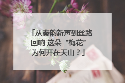 从秦韵新声到丝路回响 这朵“梅花”为何开在天山？