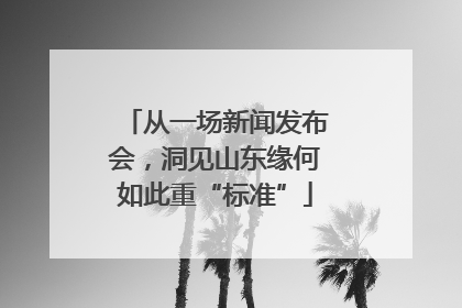 从一场新闻发布会，洞见山东缘何如此重“标准”