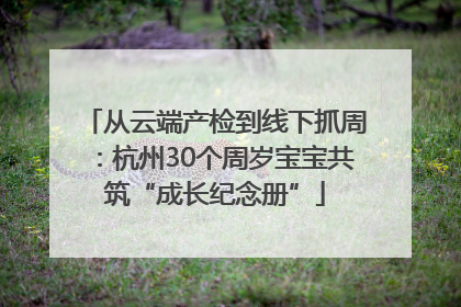 从云端产检到线下抓周:杭州30个周岁宝宝共筑“成长纪念册”