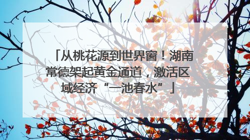 从桃花源到世界窗！湖南常德架起黄金通道，激活区域经济“一池春水”