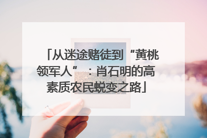 从迷途赌徒到“黄桃领军人”：肖石明的高素质农民蜕变之路