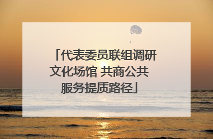 代表委员联组调研文化场馆 共商公共服务提质路径