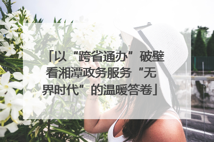 以“跨省通办”破壁 看湘潭政务服务“无界时代”的温暖答卷