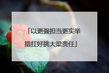 以更强担当更实举措扛好挑大梁责任