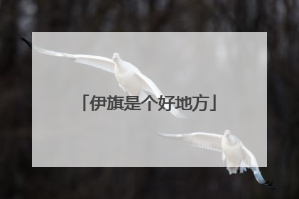 伊旗是个好地方