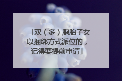 双（多）胞胎子女以捆绑方式派位的，记得要提前申请
