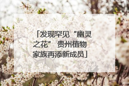 发现罕见“幽灵之花” 贵州植物家族再添新成员