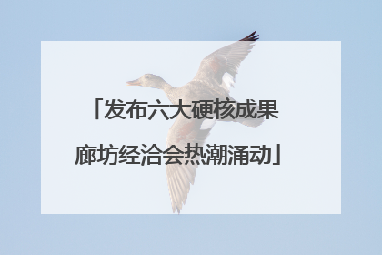 发布六大硬核成果 廊坊经洽会热潮涌动