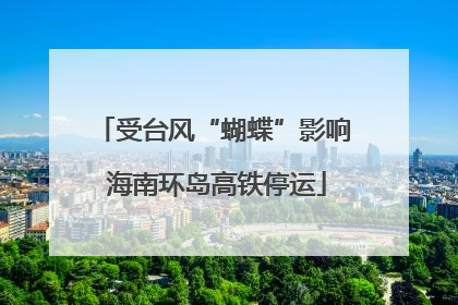 受台风“蝴蝶”影响 海南环岛高铁停运