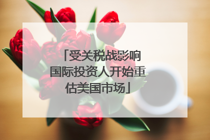 受关税战影响 国际投资人开始重估美国市场